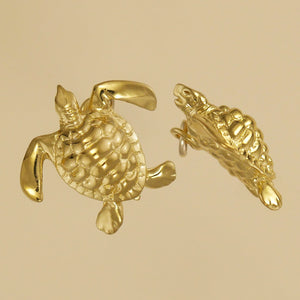 Sea Turtle Charm