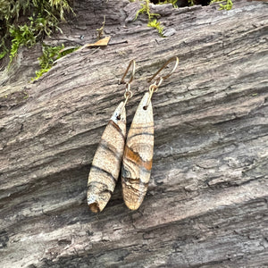 Picture Jasper Earrings