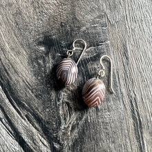 Load image into Gallery viewer, Botswana Agate Earrings
