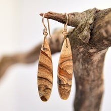 Load image into Gallery viewer, Picture Jasper Earrings
