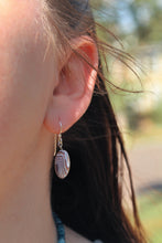 Load image into Gallery viewer, Botswana Agate Earrings
