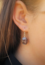 Load image into Gallery viewer, Botswana Agate Earrings
